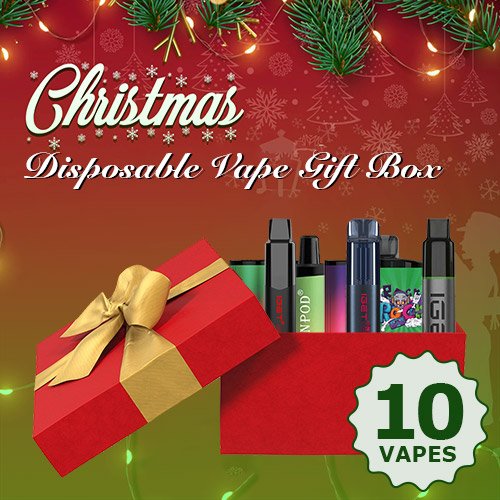 disposable vape christmas gift box 10 copy.jpg