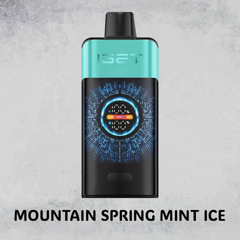 mountain spring mint ice – iget one – 10000 puffs 1.jpg