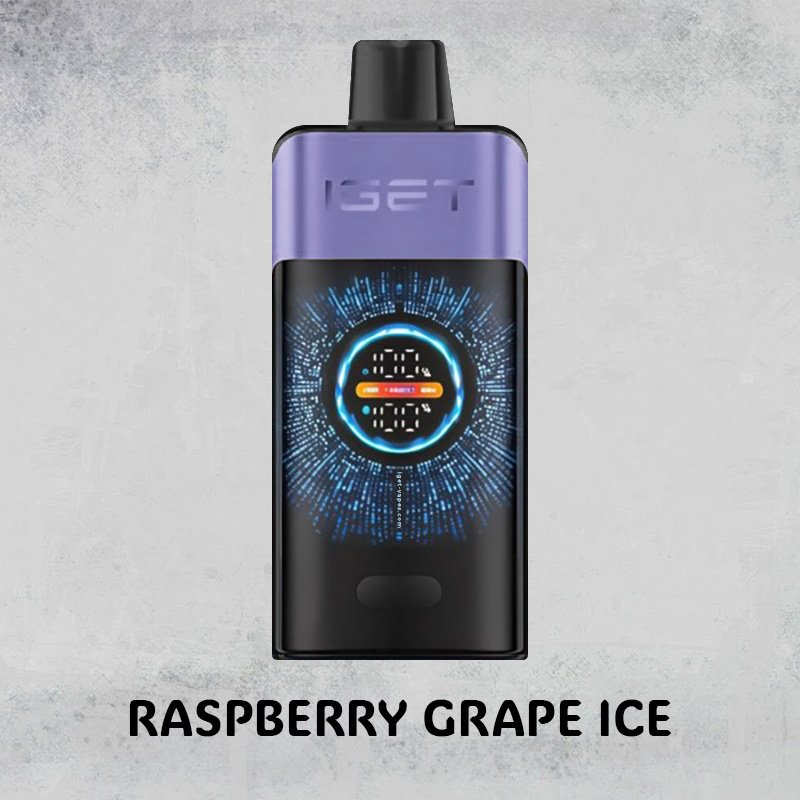 raspberry grape ice – iget one – 10000 puffs 1.jpg