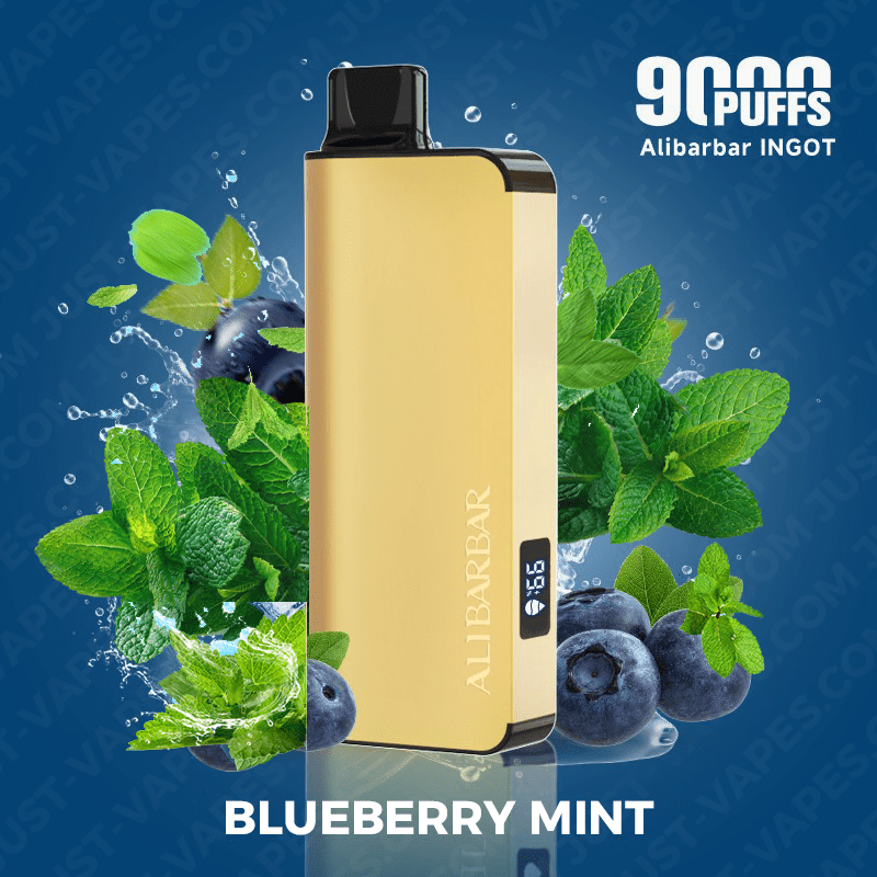 alibarbar vape 9000 blueberry mint.png