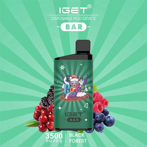 bar black forest.jpeg